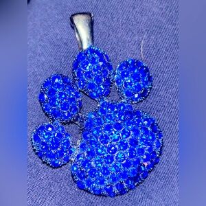 NCAA Kentucky wildcats magnetic necklace charm